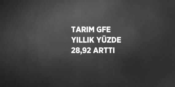 TARIM GFE YILLIK YÜZDE 28,92 ARTTI