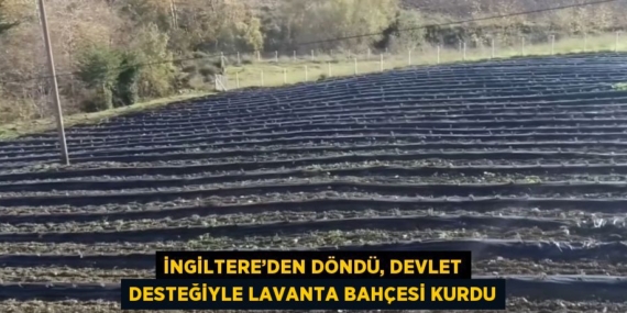 İNGİLTERE’DEN DÖNDÜ, DEVLET DESTEĞİYLE LAVANTA BAHÇESİ KURDU
