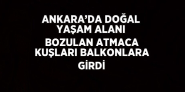26658290792883827011tasarimli