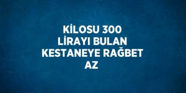 26661281423001131799tasarimli