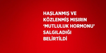 26661297082436931640