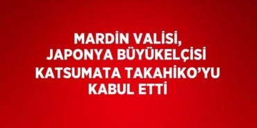 26671203992267924749tasarimli