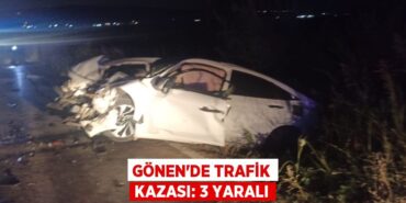 26674293542032128431tasarimli