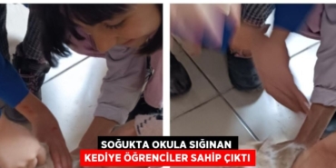 26691273912215530494tasarimli