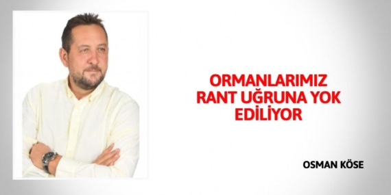 ORMANLARIMIZ RANT UĞRUNA YOK EDİLİYOR