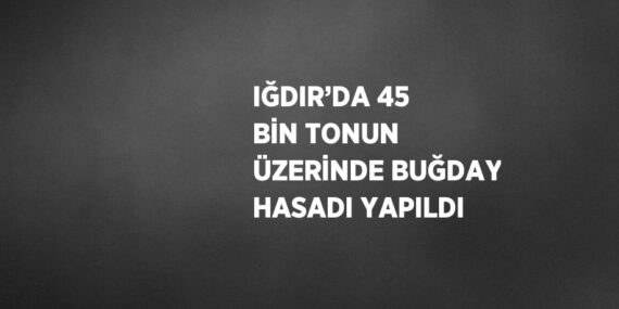 IĞDIR’DA 45 BİN TONUN ÜZERİNDE BUĞDAY HASADI YAPILDI