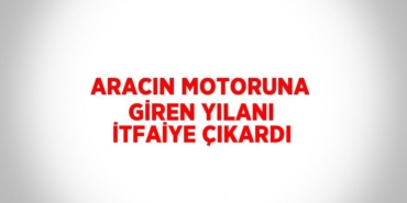 26697251782390826669tasarimli