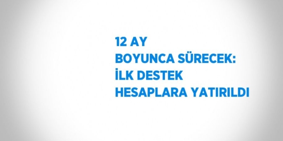 12 AY BOYUNCA SÜRECEK: İLK DESTEK HESAPLARA YATIRILDI
