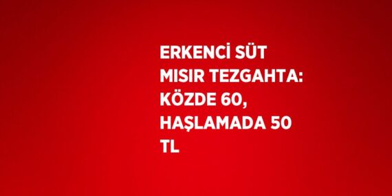ERKENCİ SÜT MISIR TEZGAHTA: KÖZDE 60, HAŞLAMADA 50 TL