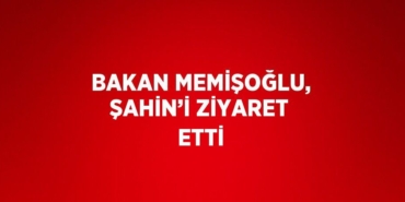 26717293732285923349tasarimli