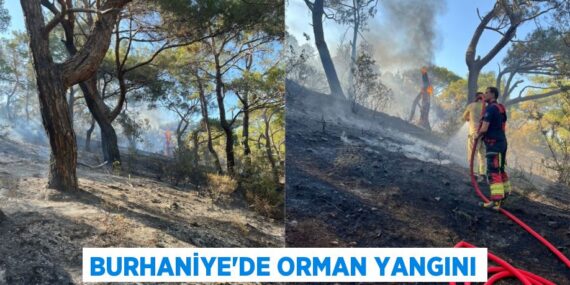 Burhaniye’de orman yangını