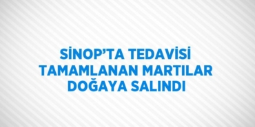26727273832691727882tasarimli
