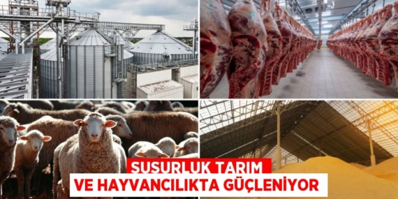 SUSURLUK TARIM VE HAYVANCILIKTA GÜÇLENİYOR