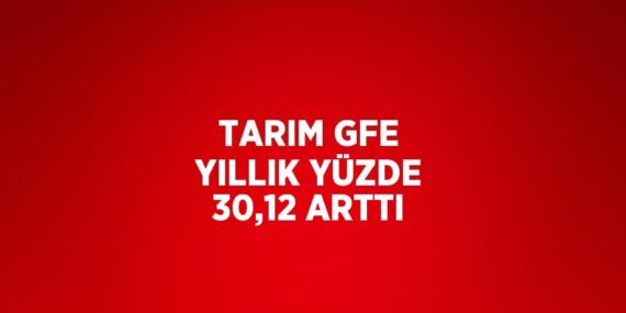 TARIM GFE YILLIK YÜZDE 30,12 ARTTI