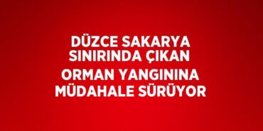 26743286692962321053tasarimli