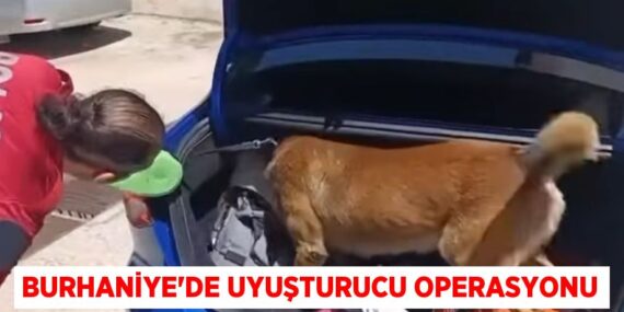 BURHANİYE’DE UYUŞTURUCU OPERASYONU