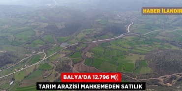 26769248982353729417tasarimli