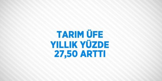 TARIM ÜFE YILLIK YÜZDE 27,50 ARTTI