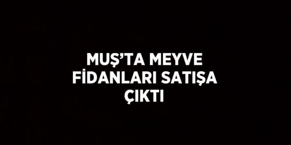MUŞ’TA MEYVE FİDANLARI SATIŞA ÇIKTI