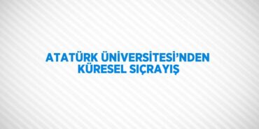 26783202562394025215tasarimli