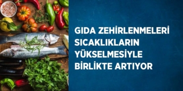 26790285383010723759