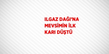 26794258622288028601