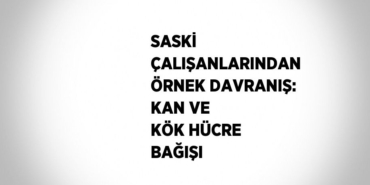 26794293443104121955