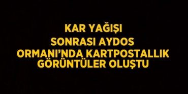 26799228792558425669tasarimli
