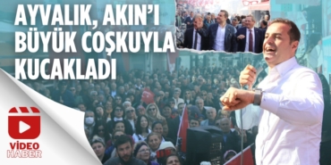 26806255553040824506