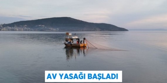 AV YASAĞI BAŞLADI