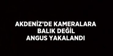 26838259772318828704tasarimli