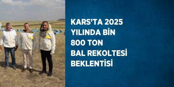 KARS’TA 2025 YILINDA BİN 800 TON BAL REKOLTESİ BEKLENTİSİ
