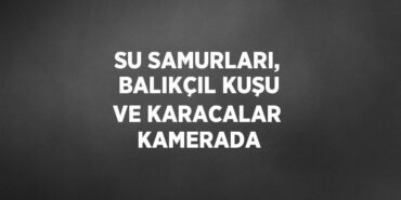 26844236422349321939tasarimli