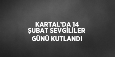 26850284912108920268tasarimli