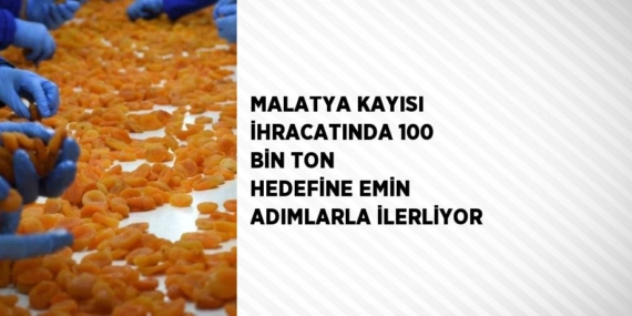 MALATYA KAYISI İHRACATINDA 100 BİN TON HEDEFİNE EMİN ADIMLARLA İLERLİYOR
