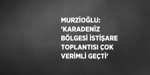 MURZİOĞLU: ‘KARADENİZ BÖLGESİ İSTİŞARE TOPLANTISI ÇOK VERİMLİ GEÇTİ’