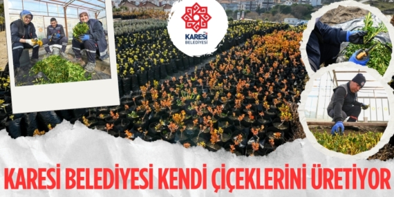 KARESİ BELEDİYESİ KENDİ ÇİÇEKLERİNİ ÜRETİYOR