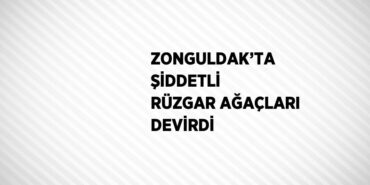 26861270222558222645