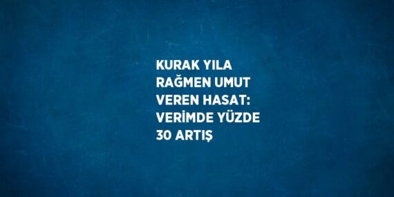 KURAK YILA RAĞMEN UMUT VEREN HASAT: VERİMDE YÜZDE 30 ARTIŞ