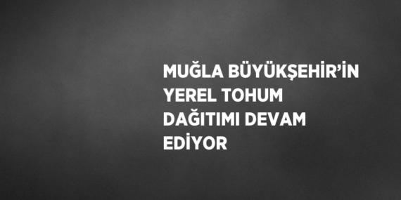 MUĞLA BÜYÜKŞEHİR’İN YEREL TOHUM DAĞITIMI DEVAM EDİYOR