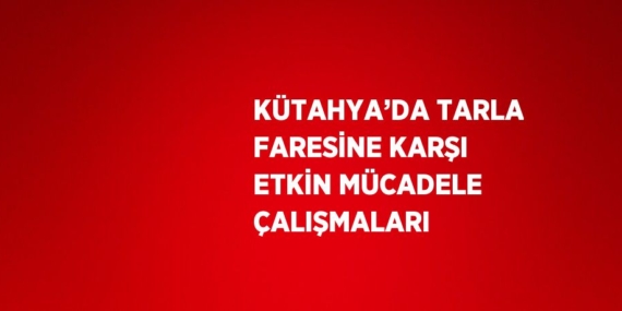 KÜTAHYA’DA TARLA FARESİNE KARŞI ETKİN MÜCADELE ÇALIŞMALARI