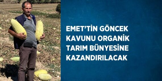 EMET’TİN GÖNCEK KAVUNU ORGANİK TARIM BÜNYESİNE KAZANDIRILACAK