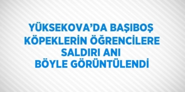 26886202922549126002tasarimli