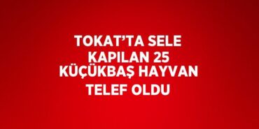 26886263032335024370tasarimli