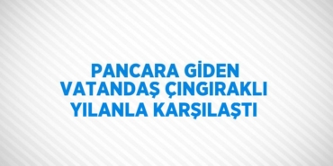 26893317242404925109tasarimli