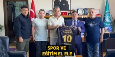 26894213122077822193tasarimli