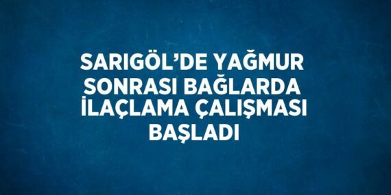 SARIGÖL’DE YAĞMUR SONRASI BAĞLARDA İLAÇLAMA ÇALIŞMASI BAŞLADI
