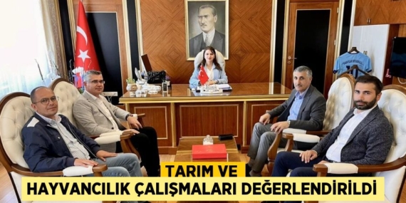 TARIM VE HAYVANCILIK ÇALIŞMALARI DEĞERLENDİRİLDİ