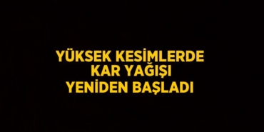 26907254722923126723tasarimli