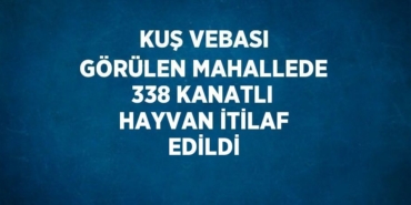 26923297192783829426tasarimli